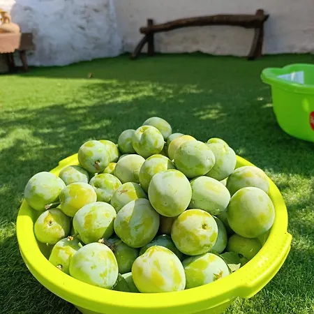 La Casona De Alan-bru بيت للعطل *