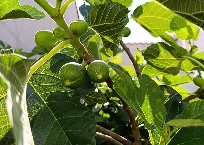 Ferienhaus La Casona De Alan-bru Boceguillas