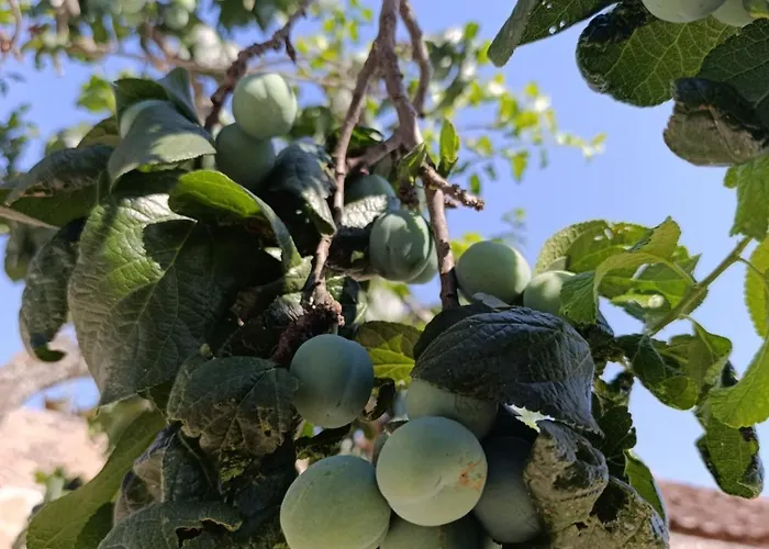 La Casona De Alan-bru *