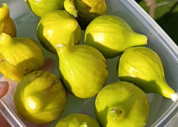 La Casona De Alan-bru Ferienhaus