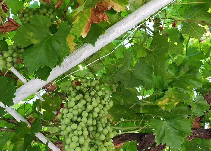 Ferienhaus La Casona De Alan-bru Boceguillas