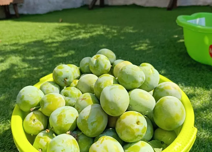 La Casona De Alan-bru Ferienhaus *